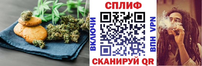 закладка  Калининск  Cannafood конопля 