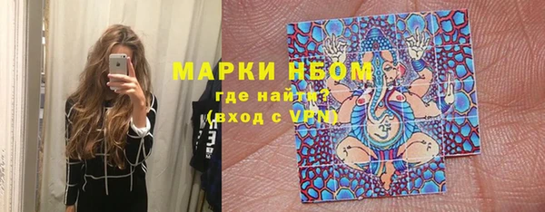 стафф Алзамай