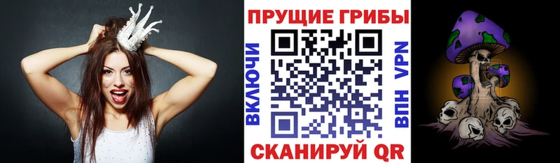 купить сайты Калининск даркнет наркотические препараты Галлюциногенные грибы ЛСД